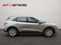 Ford Kuga 2.0 EcoBlue Hybrid 150 CV 2WD Titanium Business Grigio - thumbnail 7