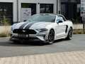 Ford Mustang Shelby GT Look Cabrio *SHZ*Leder*SBL*Kamera* Argent - thumbnail 1