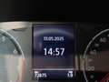 Volkswagen T-Cross 1.0 TSI Urban BMT Blu/Azzurro - thumbnail 13