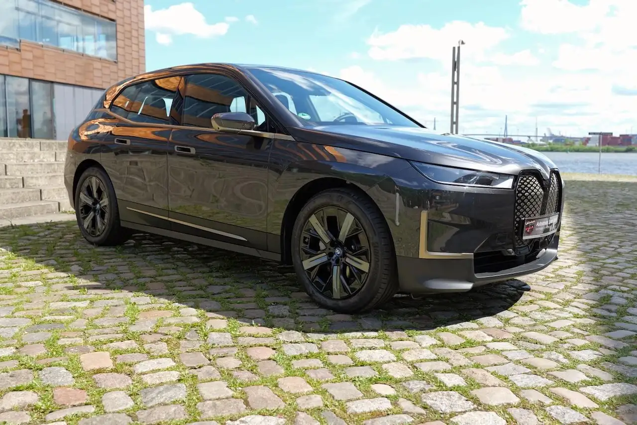 BMW iX 40 XDrive Panorama-Glasdach