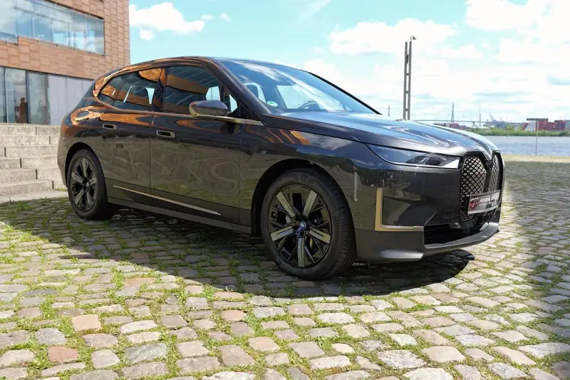 BMW iX 40 XDrive Panorama-Glasdach