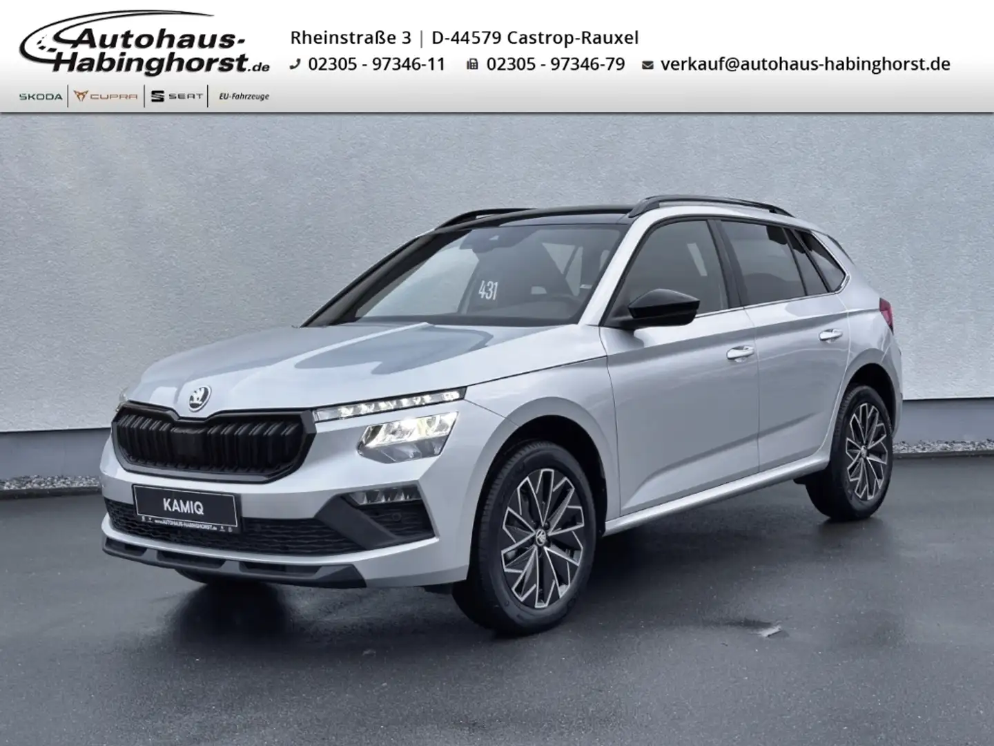 Skoda Kamiq 1.0 TSI DSG Selection Pano ACC Sportsitze 17Alu Silber - 1