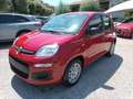 Fiat New Panda 1000 HYBRID 70 CV PACK CITY 5 POSTI USB ITALIA Rosso - thumbnail 1