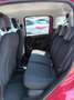Fiat New Panda 1000 HYBRID 70 CV PACK CITY 5 POSTI USB ITALIA Rosso - thumbnail 6
