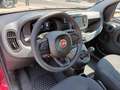 Fiat New Panda 1000 HYBRID 70 CV PACK CITY 5 POSTI USB ITALIA Rosso - thumbnail 7