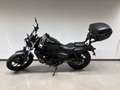 Kawasaki Noir - thumbnail 1