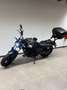 Kawasaki Noir - thumbnail 5