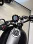 Kawasaki Noir - thumbnail 2