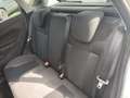 Ford Fiesta 1.0 Ecob.Titanium Automaat,Cruise,nwe distr. Grijs - thumbnail 26