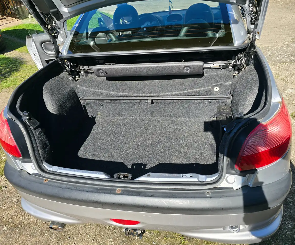 Peugeot 206 CC 135 Platinum, foto 10