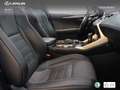Lexus NX 300 300h F Sport 4WD Panorámico Gümüş rengi - thumbnail 22