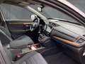 Honda CR-V 2WD 1.5 Turbo Elegance Navi LED ACC Apple CarPlay Grau - thumbnail 9