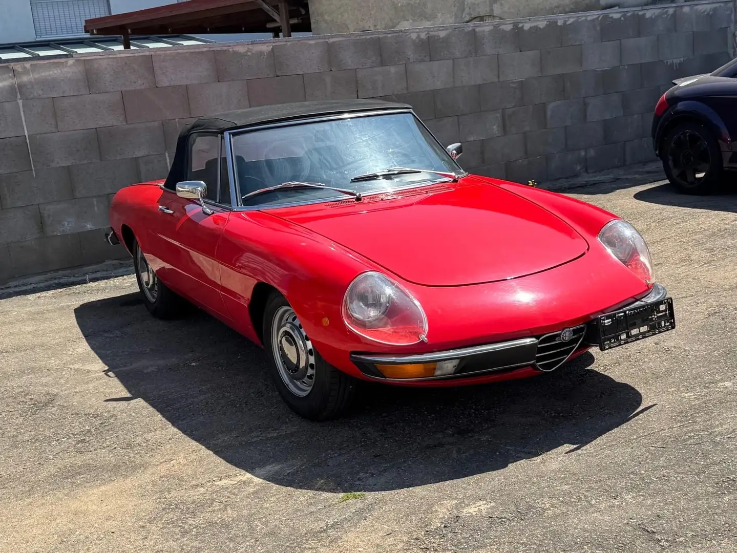 Alfa Romeo Spider H Kennzeichen HU neu Rot - 2