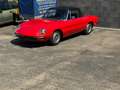 Alfa Romeo Spider H Kennzeichen HU neu Rot - thumbnail 3