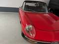 Alfa Romeo Spider H Kennzeichen HU neu Rot - thumbnail 6