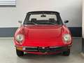 Alfa Romeo Spider H Kennzeichen HU neu Rot - thumbnail 13