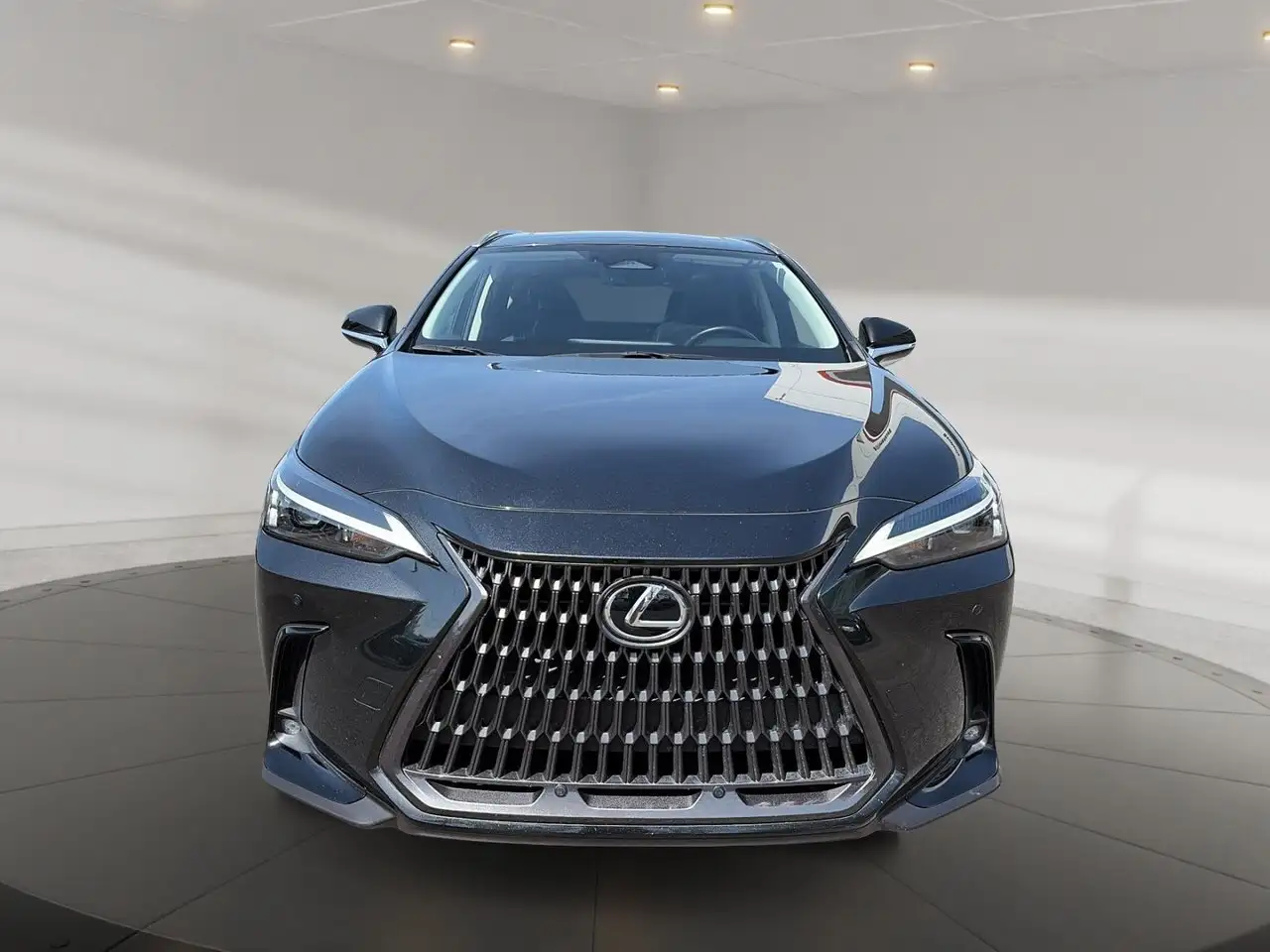Lexus NX снимка Lexus NX