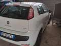 Fiat Punto Evo 3p 1.3 mjt Dynamic s&s 75cv Bianco - thumbnail 3