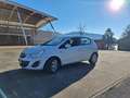 Opel Corsa 5p 1.2 One c/clima Gpl-tech 85cv - thumbnail 5