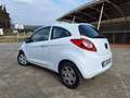 Opel Corsa 5p 1.2 One c/clima Gpl-tech 85cv - thumbnail 12