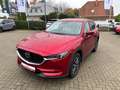 Mazda CX-5 2.2 Diesel, 4WD Automatik + Leder weiß Rouge - thumbnail 2