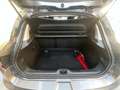 Renault Clio 1.5 dCi 8V 90CV 5 porte Costume National Grigio - thumbnail 12