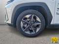 Hyundai TUCSON 1.6 crdi BUSINESS Wit - thumbnail 7