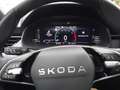 Skoda Scala Selection Grau - thumbnail 14