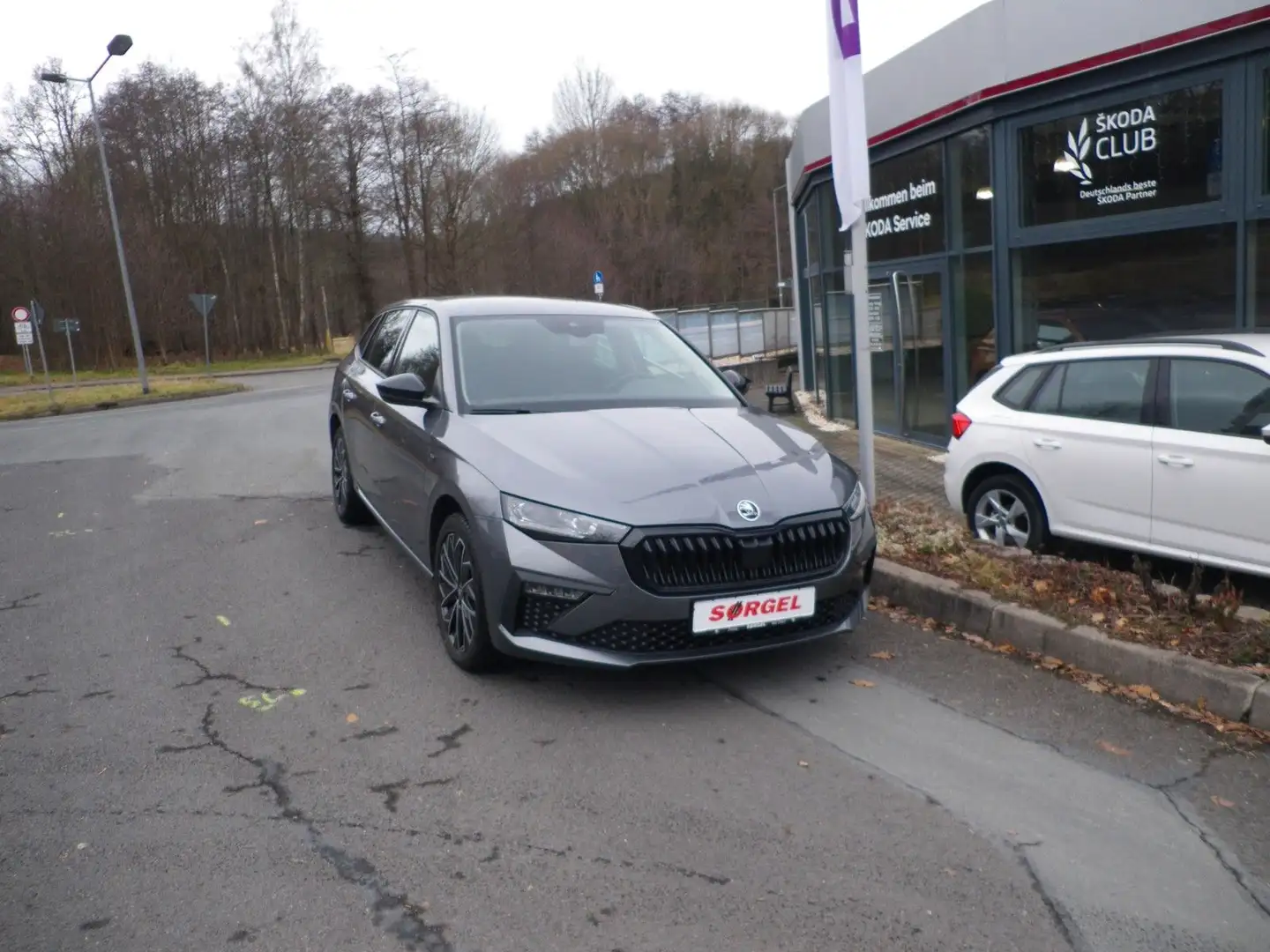 Skoda Scala Selection Grau - 1