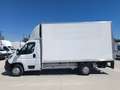 Fiat Ducato Ch.Cb.Maxi 35 2.3Mjt L3 H1 140CV Blanco - thumbnail 3