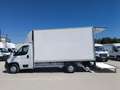 Fiat Ducato Ch.Cb.Maxi 35 2.3Mjt L3 H1 140CV Blanco - thumbnail 5