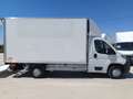 Fiat Ducato Ch.Cb.Maxi 35 2.3Mjt L3 H1 140CV Blanco - thumbnail 4