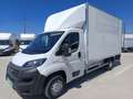 Fiat Ducato Ch.Cb.Maxi 35 2.3Mjt L3 H1 140CV Blanco - thumbnail 7