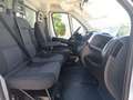 Fiat Ducato Ch.Cb.Maxi 35 2.3Mjt L3 H1 140CV Blanco - thumbnail 15