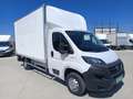 Fiat Ducato Ch.Cb.Maxi 35 2.3Mjt L3 H1 140CV Blanco - thumbnail 6