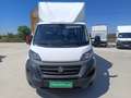 Fiat Ducato Ch.Cb.Maxi 35 2.3Mjt L3 H1 140CV Blanco - thumbnail 10