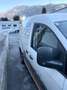 Volkswagen Caddy Caddy Kombi Austria Plus 1,0 TSI Austria Plus Weiß - thumbnail 7