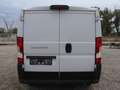 Fiat Ducato L1H1 Kasten/€ 16.500,-netto/KAMERA TEMP KLIMA Weiß - thumbnail 6