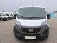 Fiat Ducato L1H1 Kasten/€ 16.500,-netto/KAMERA TEMP KLIMA Weiß - thumbnail 2