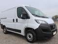 Fiat Ducato L1H1 Kasten/€ 16.500,-netto/KAMERA TEMP KLIMA Weiß - thumbnail 3