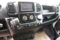 Fiat Ducato L1H1 Kasten/€ 16.500,-netto/KAMERA TEMP KLIMA Weiß - thumbnail 17