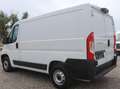 Fiat Ducato L1H1 Kasten/€ 16.500,-netto/KAMERA TEMP KLIMA Weiß - thumbnail 5