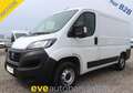 Fiat Ducato L1H1 Kasten/€ 16.500,-netto/KAMERA TEMP KLIMA Weiß - thumbnail 1