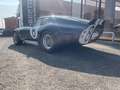 Shelby Sonstige COBRA DAYTONA  FACTORY FIVE RACING INC Blau - thumbnail 3