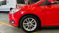 Ford Focus 1.5 TDCI 120 TREND PLUS Rood - thumbnail 10