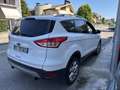 Ford Kuga 2.0 tdci Titanium 4wd 163cv auto - thumbnail 5