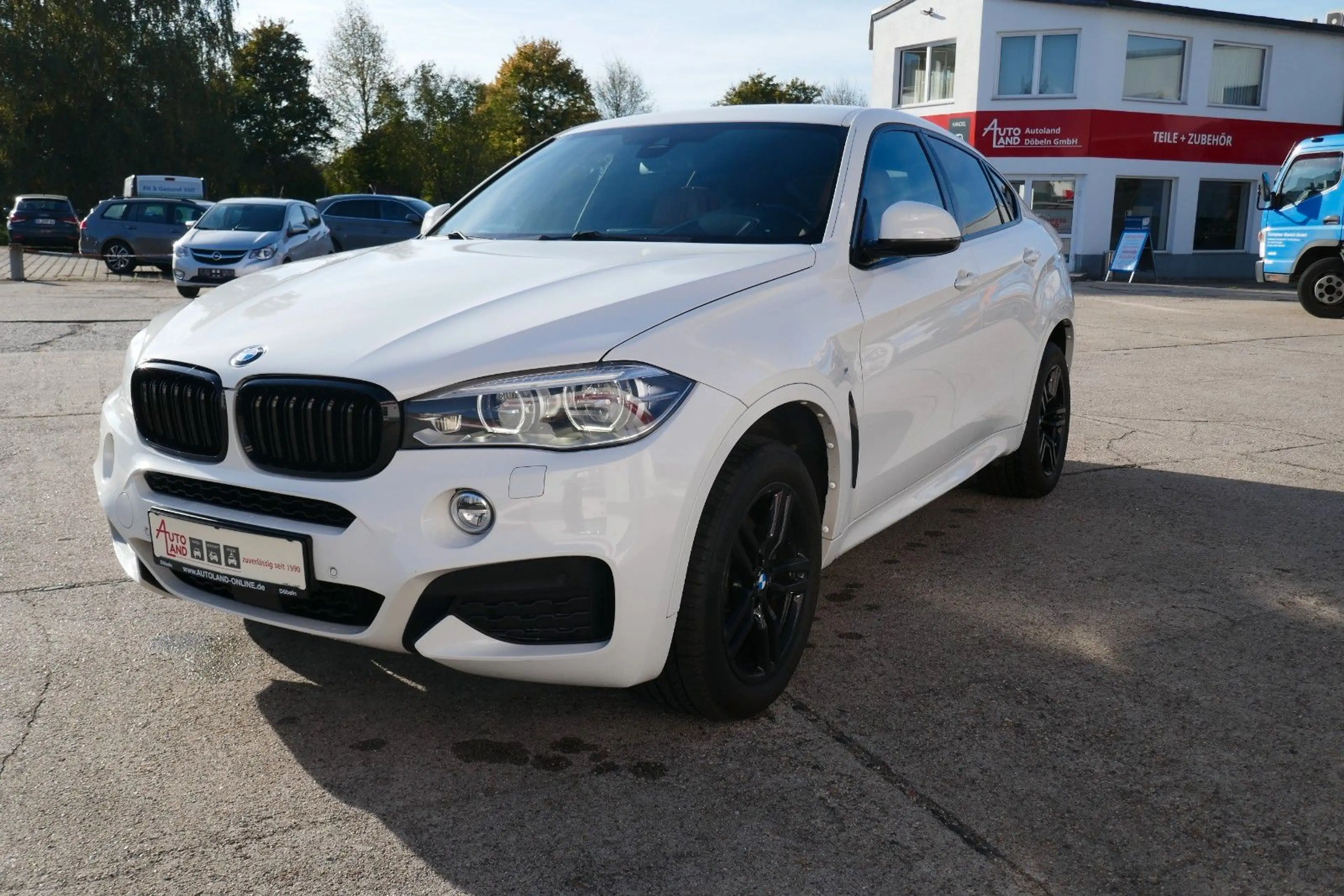 BMW X6 xDrive 40d M Paket/Stdhzg/LED/AHK — photo 6
