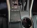 Lexus NX 300 300h Premium 2WD Weiß - thumbnail 30