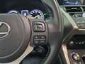 Lexus NX 300 300h Premium 2WD Weiß - thumbnail 20