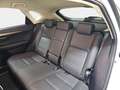 Lexus NX 300 300h Premium 2WD Weiß - thumbnail 16